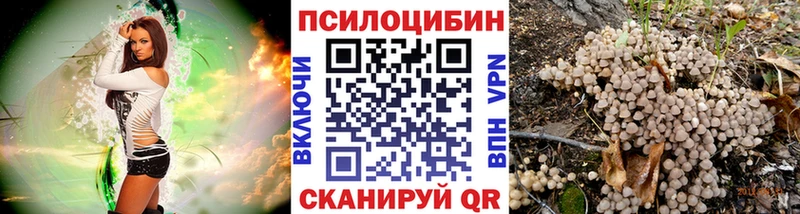 Псилоцибиновые грибы GOLDEN TEACHER  Туран 